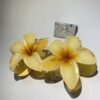 Summer Hairclip