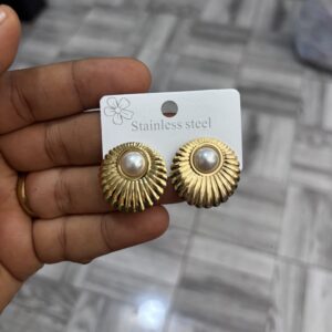 Stainless earrings
