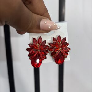 Bridal stones earrings