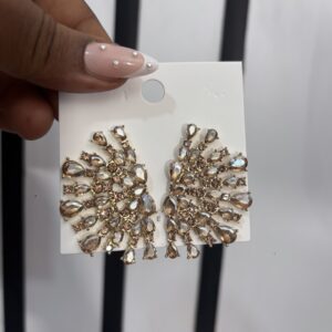 Bridal stones earrings